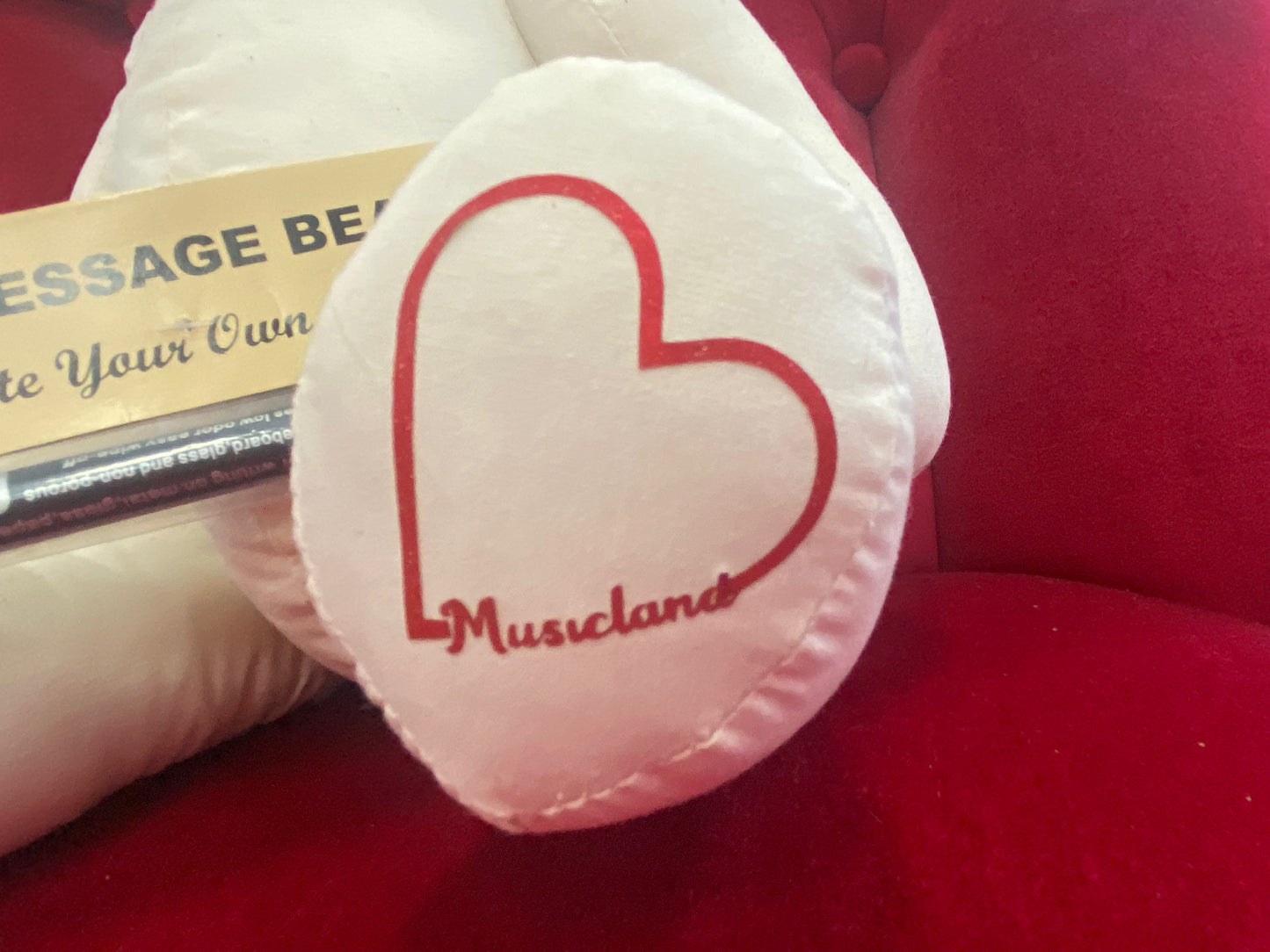 Musicland Signature Bear All Occasion Signing Keepsake