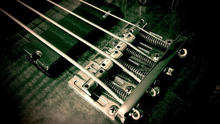 BASS GUITARS
